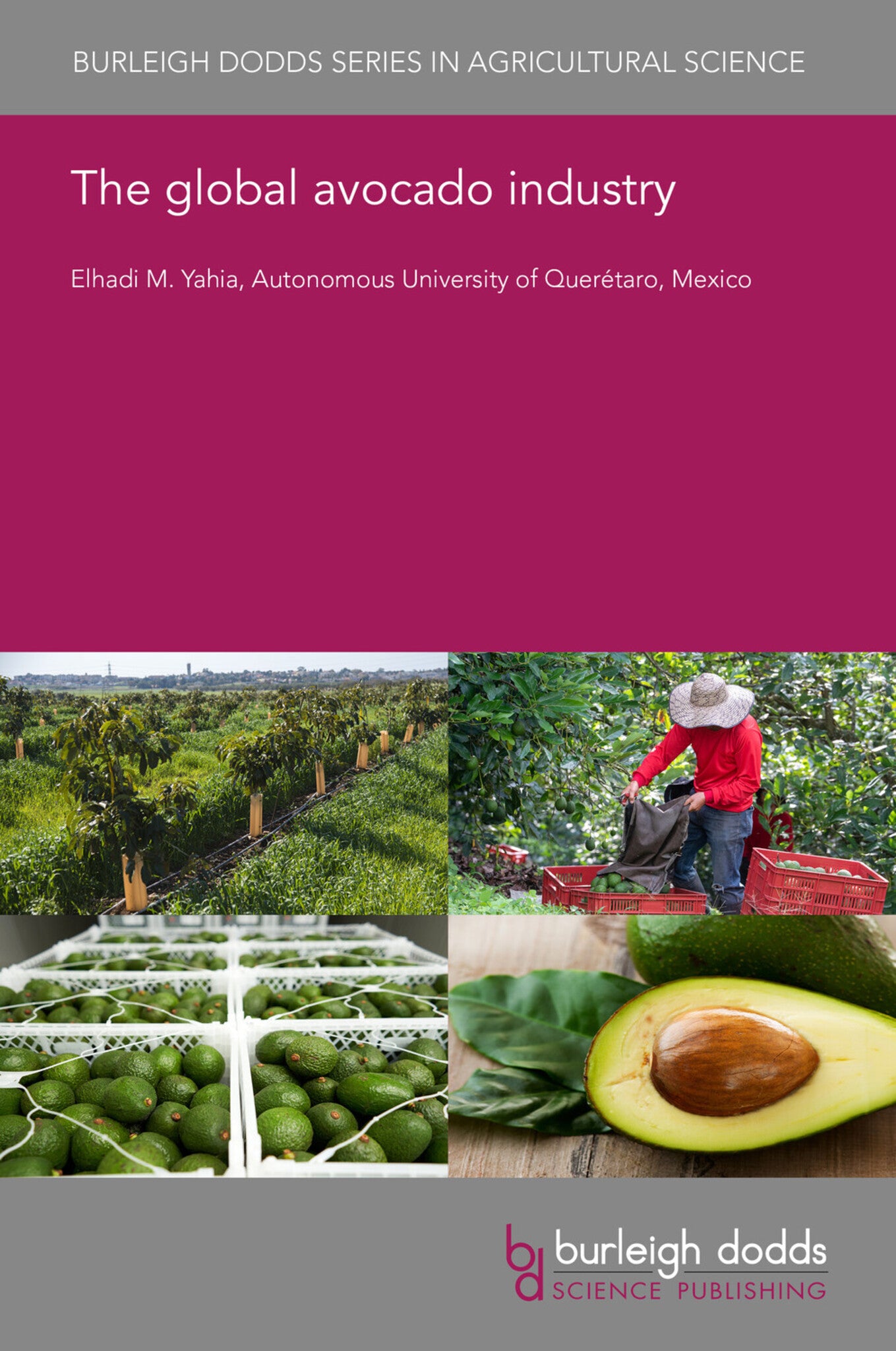The global avocado industry